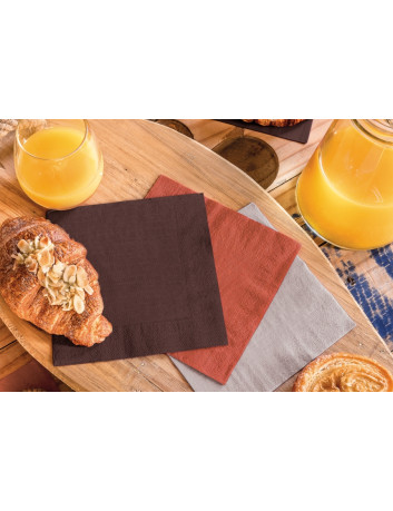 TOVAGLIOLI 25X25 2 VELI 100 PEZZI CACAO